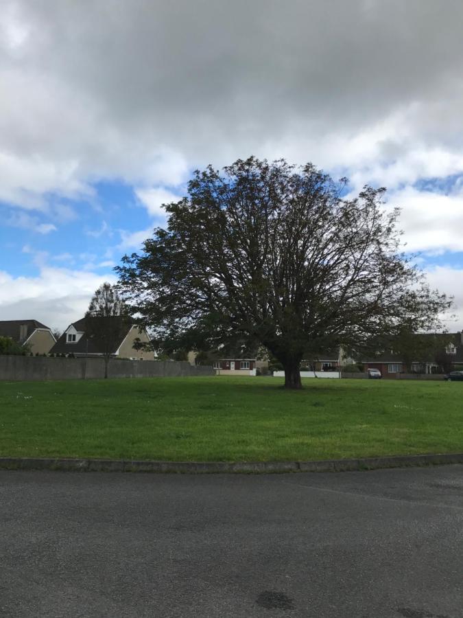 Home From Home Tralee Luaran gambar